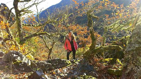 visitar muniellos|Guía para organizar una visita a la Reserva de la Biosfera de。